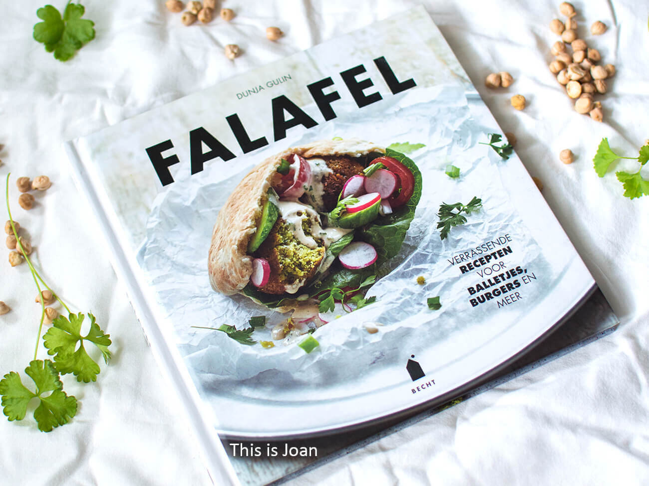 Falafel kookboek Dunja Gulin