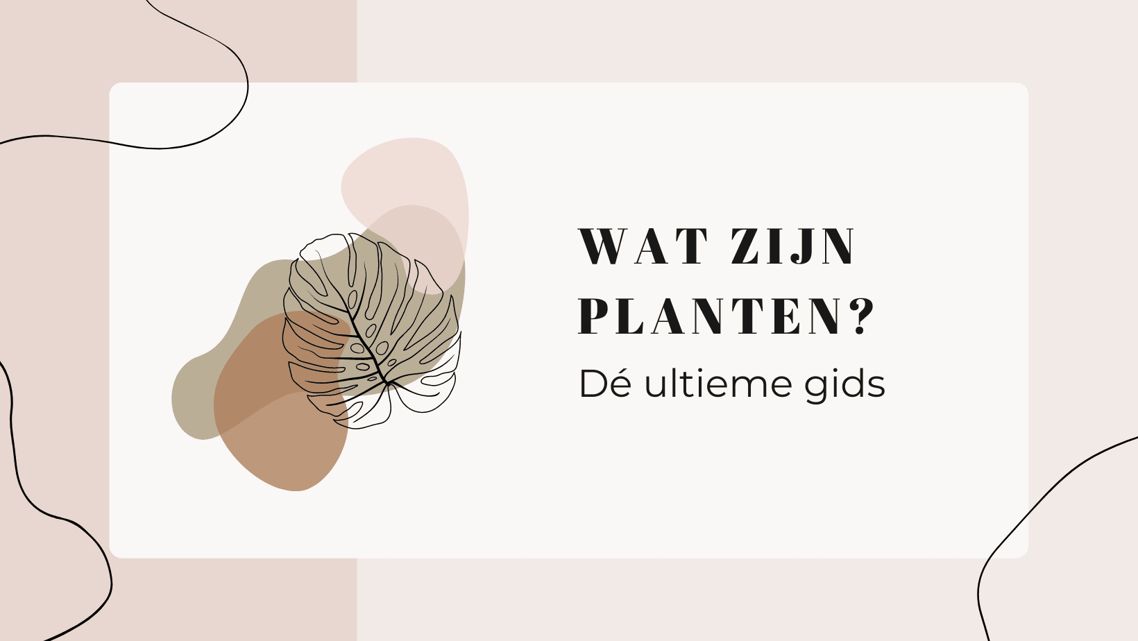 Wat zijn planten