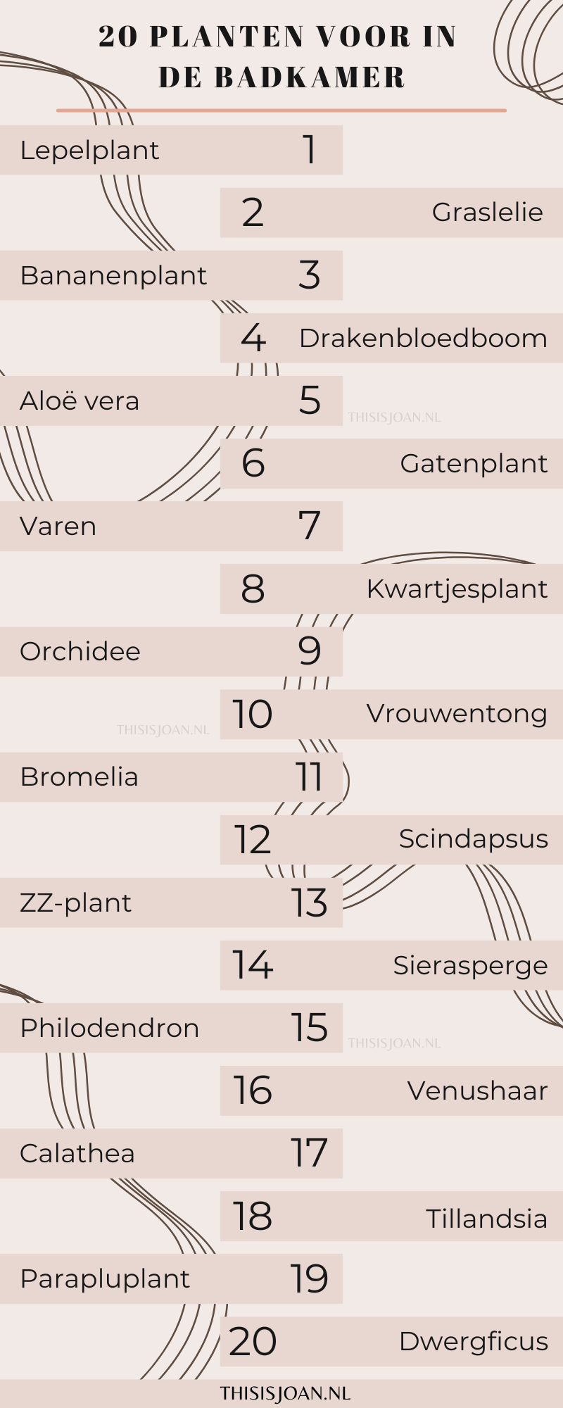 Infographic badkamerplanten