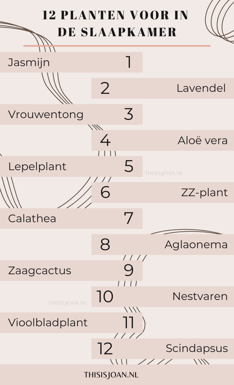 slaapkamer planten infographic