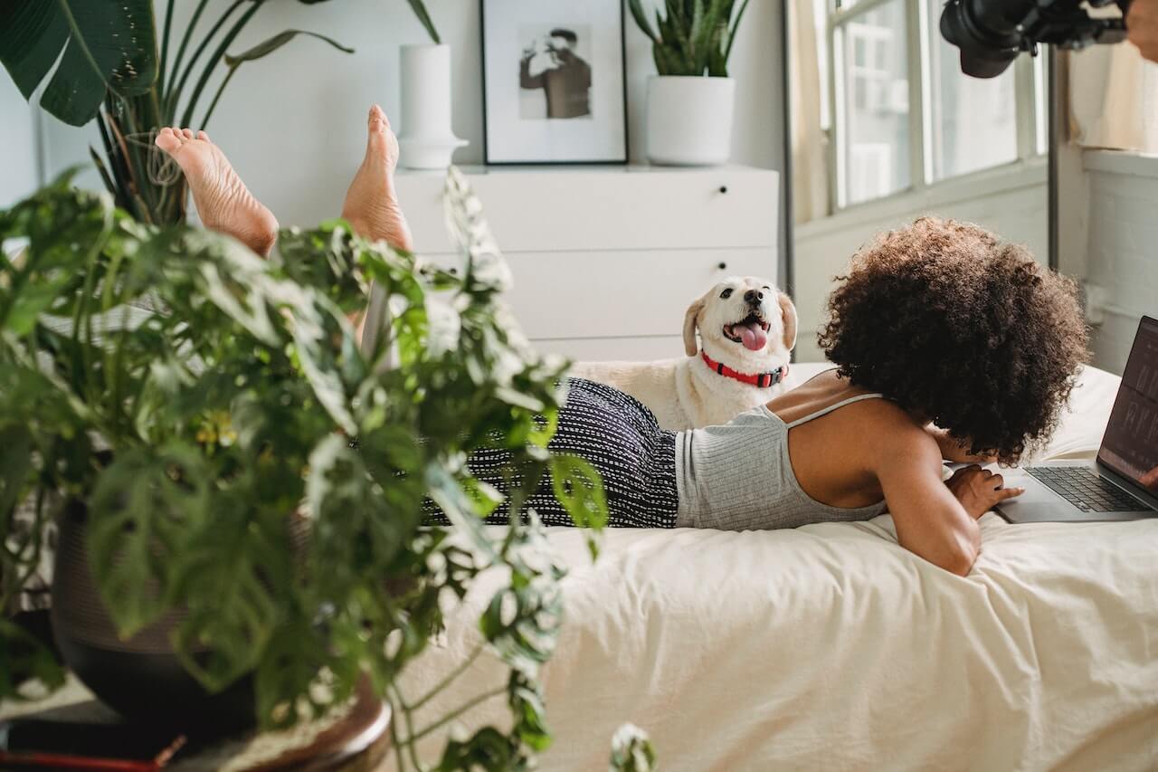slaapkamer planten