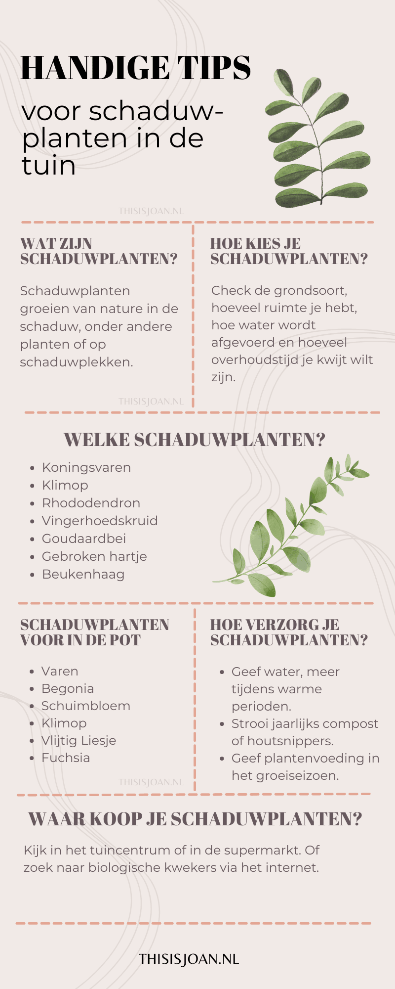 infographic schaduwplanten