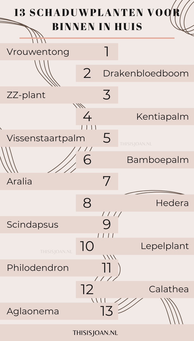 schaduwplanten binnen infographic