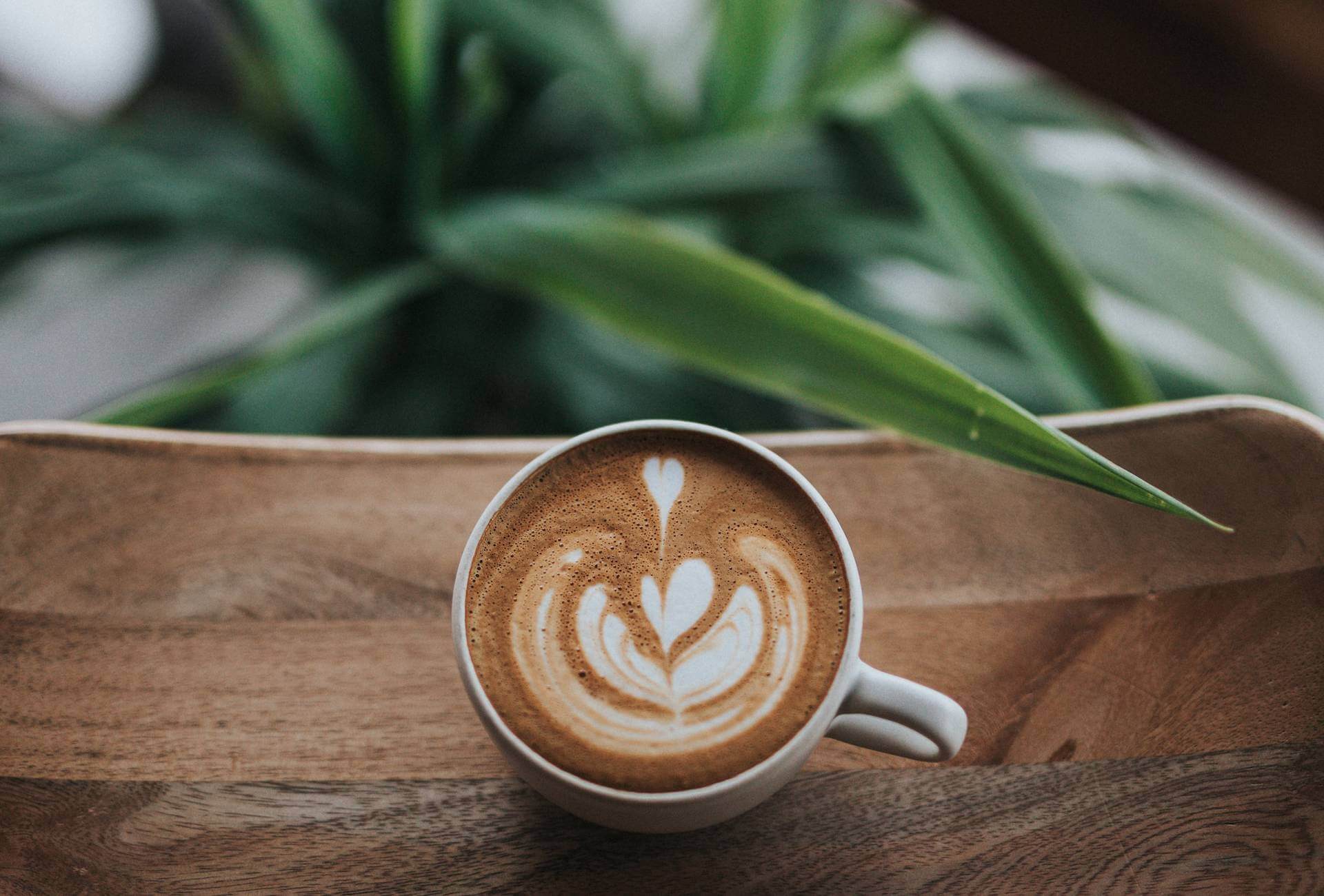 een kopje vegan koffie met koffie art op een houten plank met een plant op de achtergrond