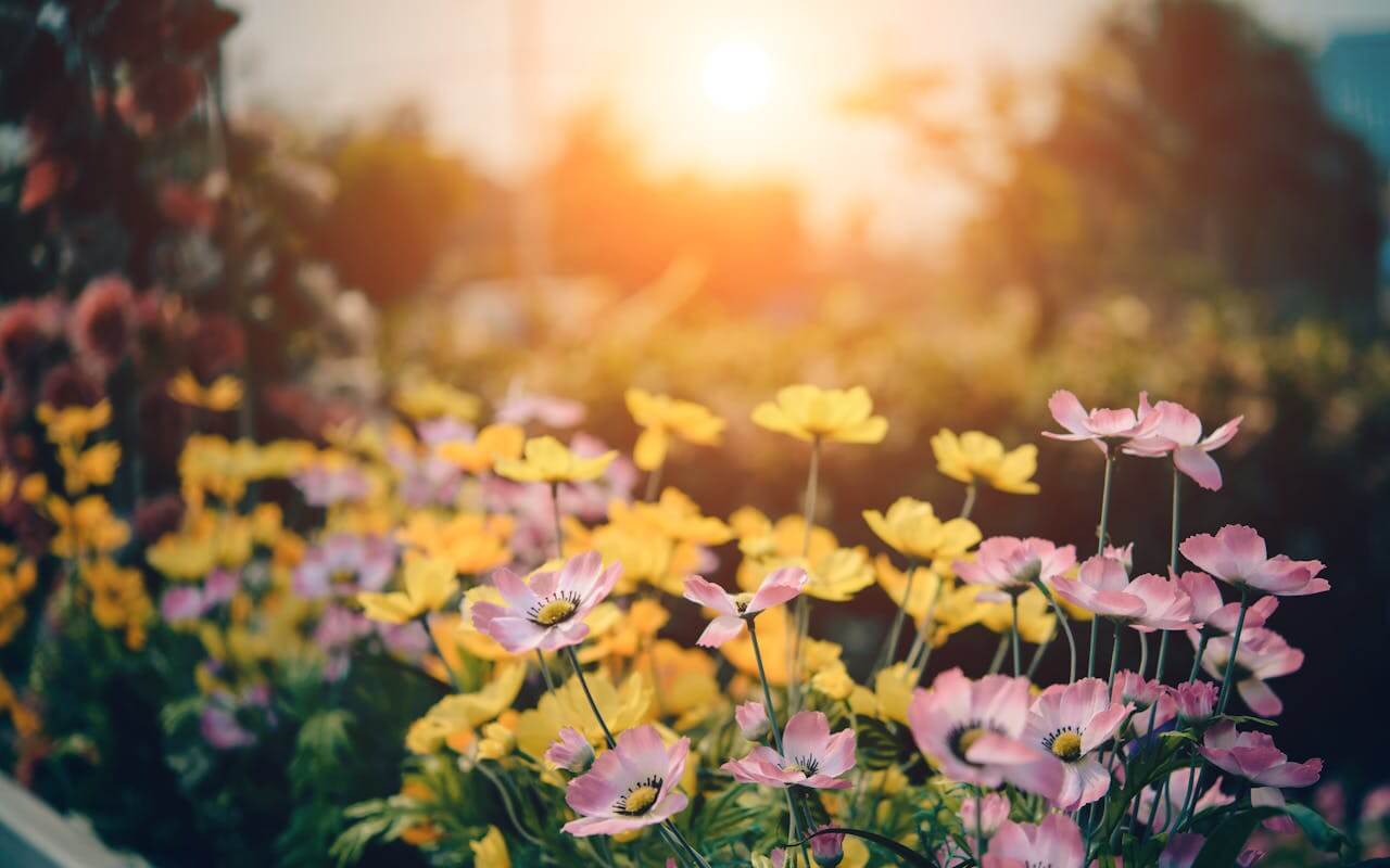 Hoe maak je een circulaire tuin met veel biodiversiteit?